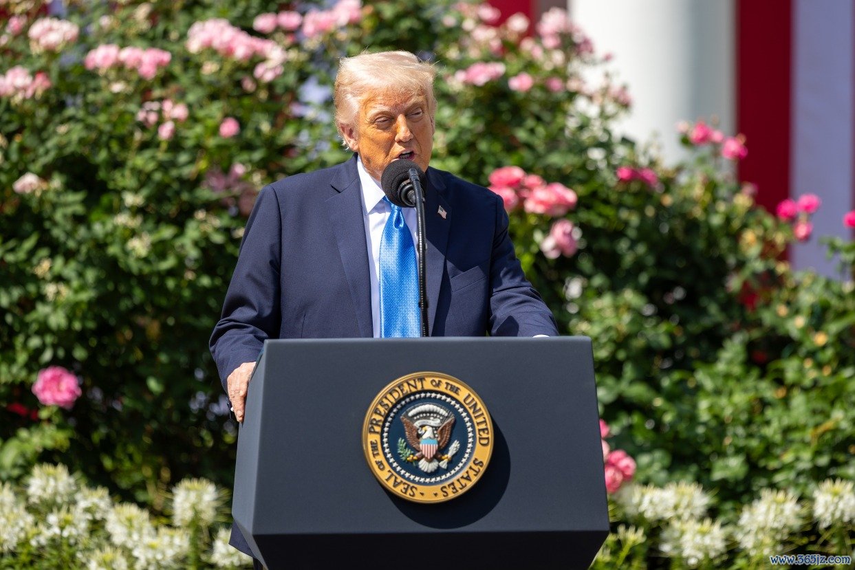 352300021330620417.jpg 352300021330620417.jpg