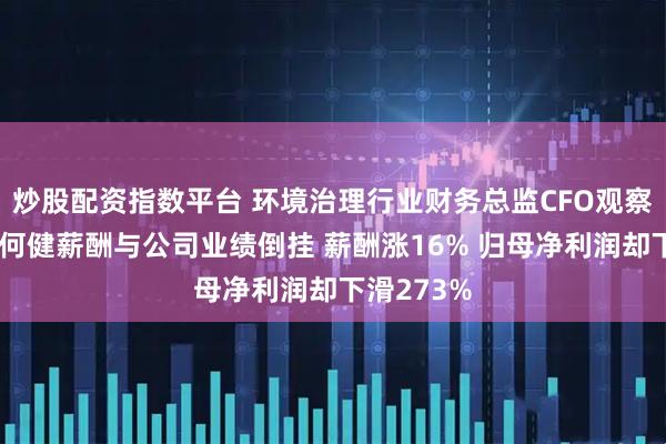 炒股配资指数平台 环境治理行业财务总监CFO观察：维尔利何健薪酬与公司业绩倒挂 薪酬涨16% 归母净利润却下滑273%